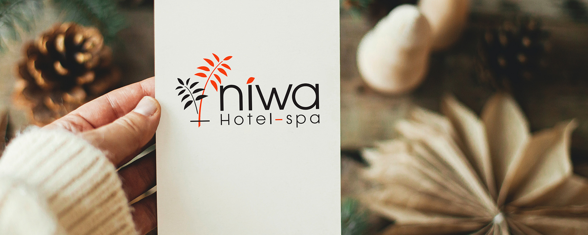 Campaña Navidad 2024-25 Niwa