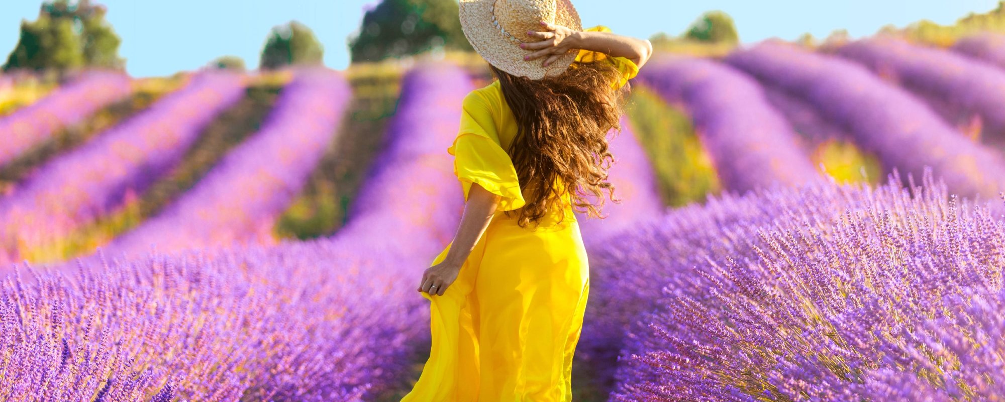 Campaña Lavanda Lovers 2024 Niwa