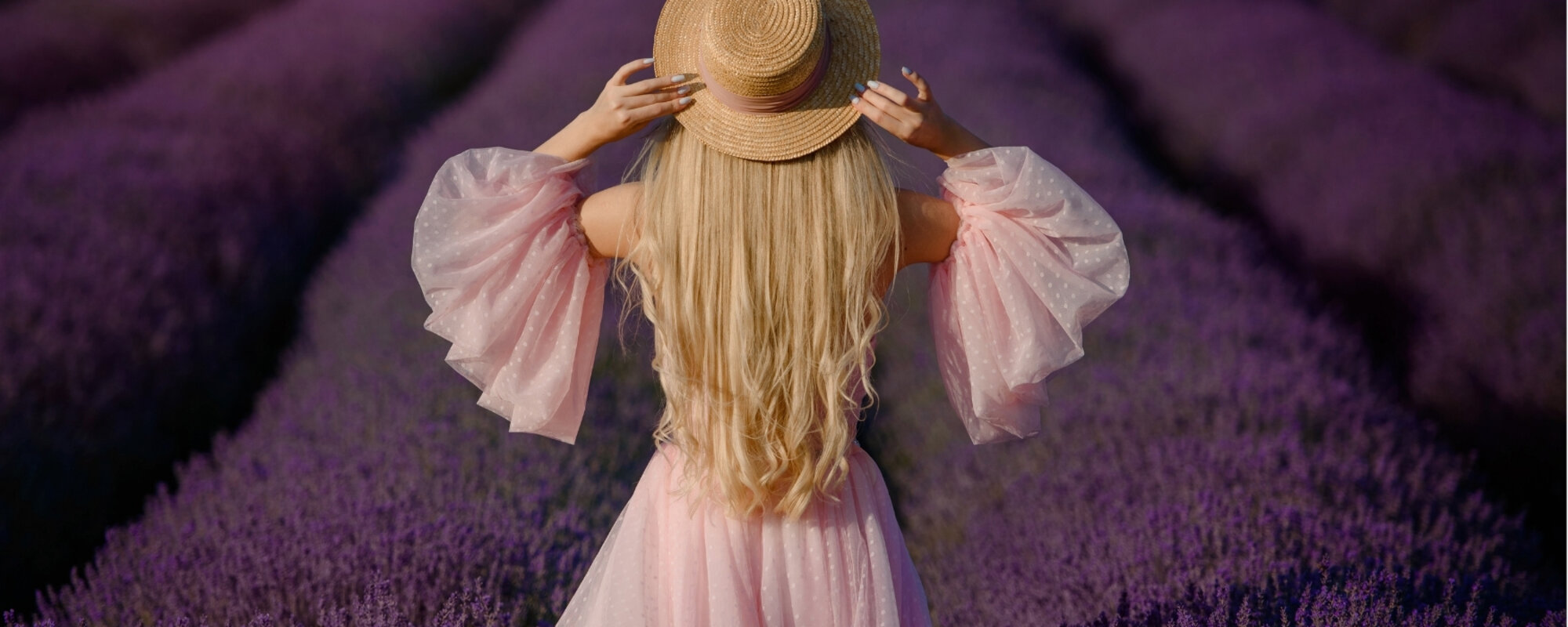 Campaña Lavanda Lovers 2026 Niwa